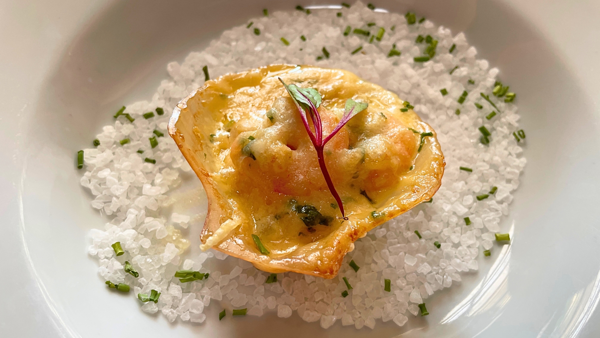 Coquille Saint-Jacques de Crevettes